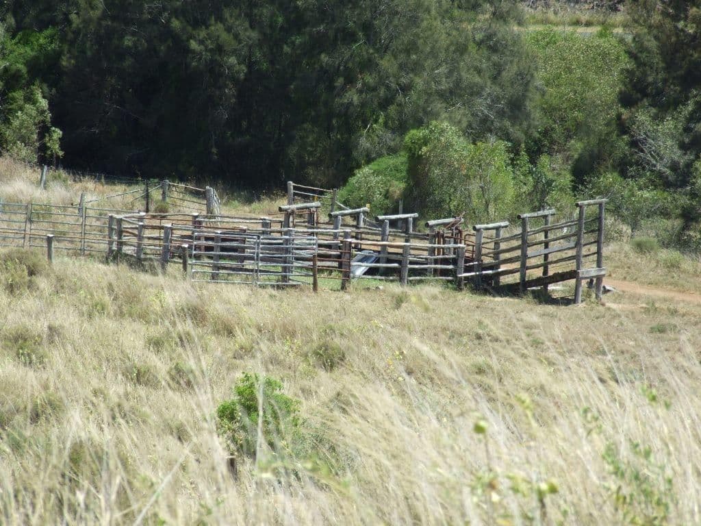 1179 Djuan Road, HADEN QLD 4353, Haden - Thumbnail 2