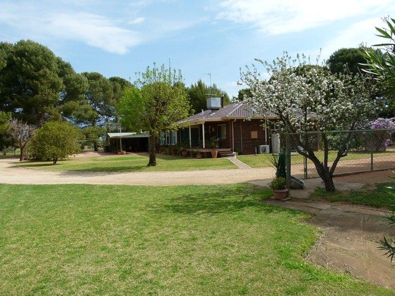 352 Calarie Road, FORBES NSW 2871, Forbes - Image 1