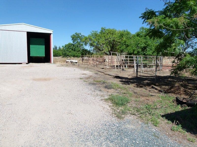 11526 Escort Way, FORBES NSW 2871, Forbes - Thumbnail 2