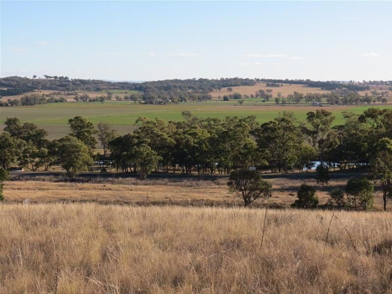 2 Kamilaroi Highway, QUIRINDI NSW 2343, Quirindi - Thumbnail 5