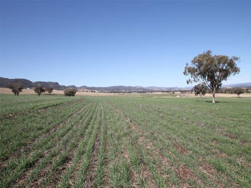 276 Spains Lane, QUIRINDI NSW 2343, Quirindi - Thumbnail 2