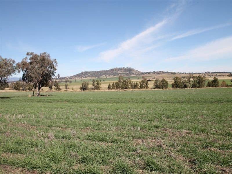 276 Spains Lane, QUIRINDI NSW 2343, Quirindi - Thumbnail 3