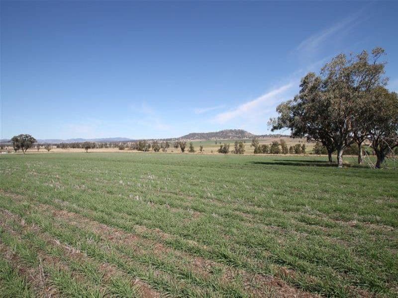 276 Spains Lane, QUIRINDI NSW 2343, Quirindi - Image 1