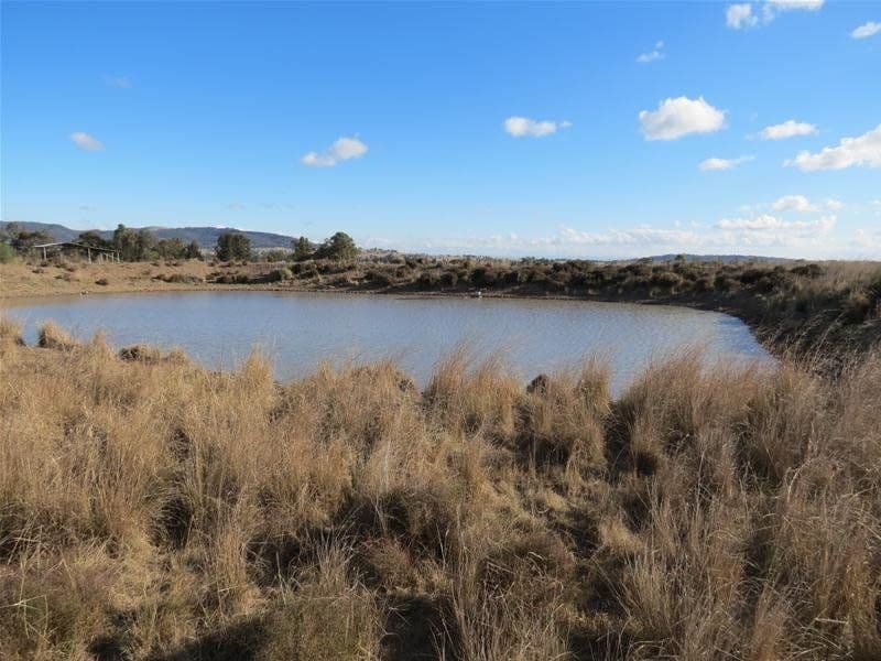 201 Yorks Road, QUIRINDI NSW 2343, Quirindi - Thumbnail 4