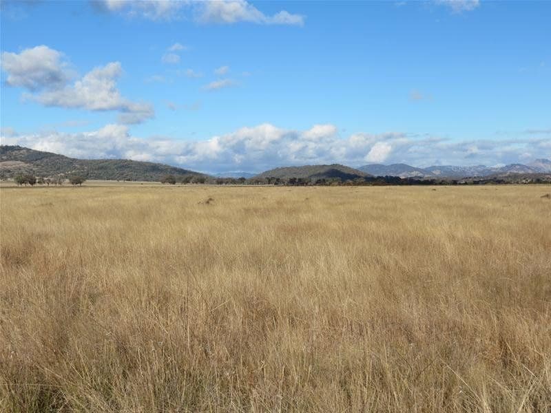 201 Yorks Road, QUIRINDI NSW 2343, Quirindi - Thumbnail 5