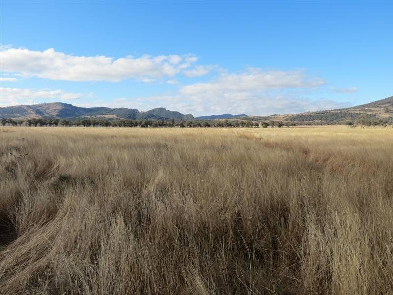 201 Yorks Road, QUIRINDI NSW 2343, Quirindi - Thumbnail 6
