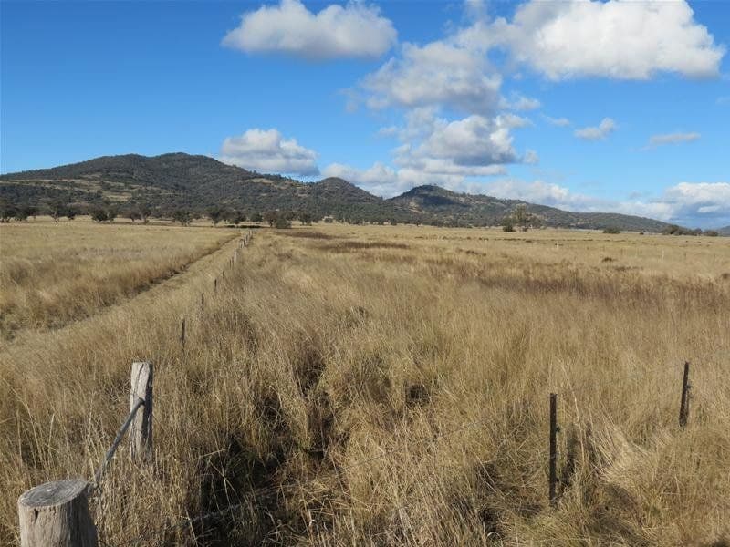 201 Yorks Road, QUIRINDI NSW 2343, Quirindi - Thumbnail 8