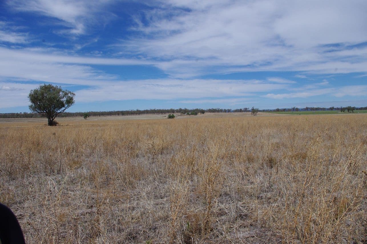 Lot 123 Bypass Road, INVERELL NSW 2360, Inverell - Thumbnail 4