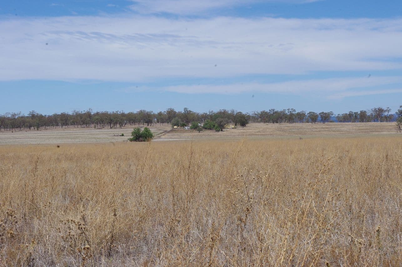 Lot 123 Bypass Road, INVERELL NSW 2360, Inverell - Image 1