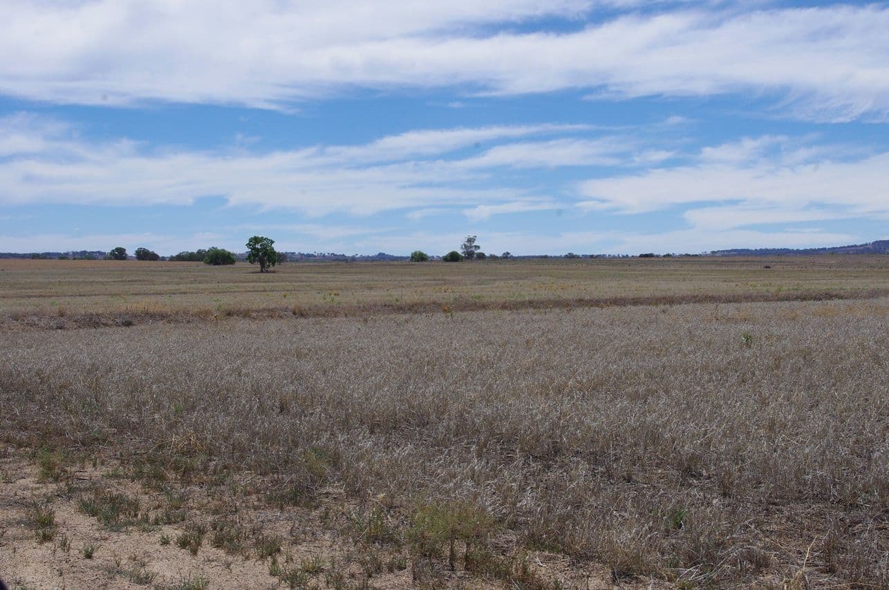 Lot 123 Bypass Road, INVERELL NSW 2360, Inverell - Thumbnail 5