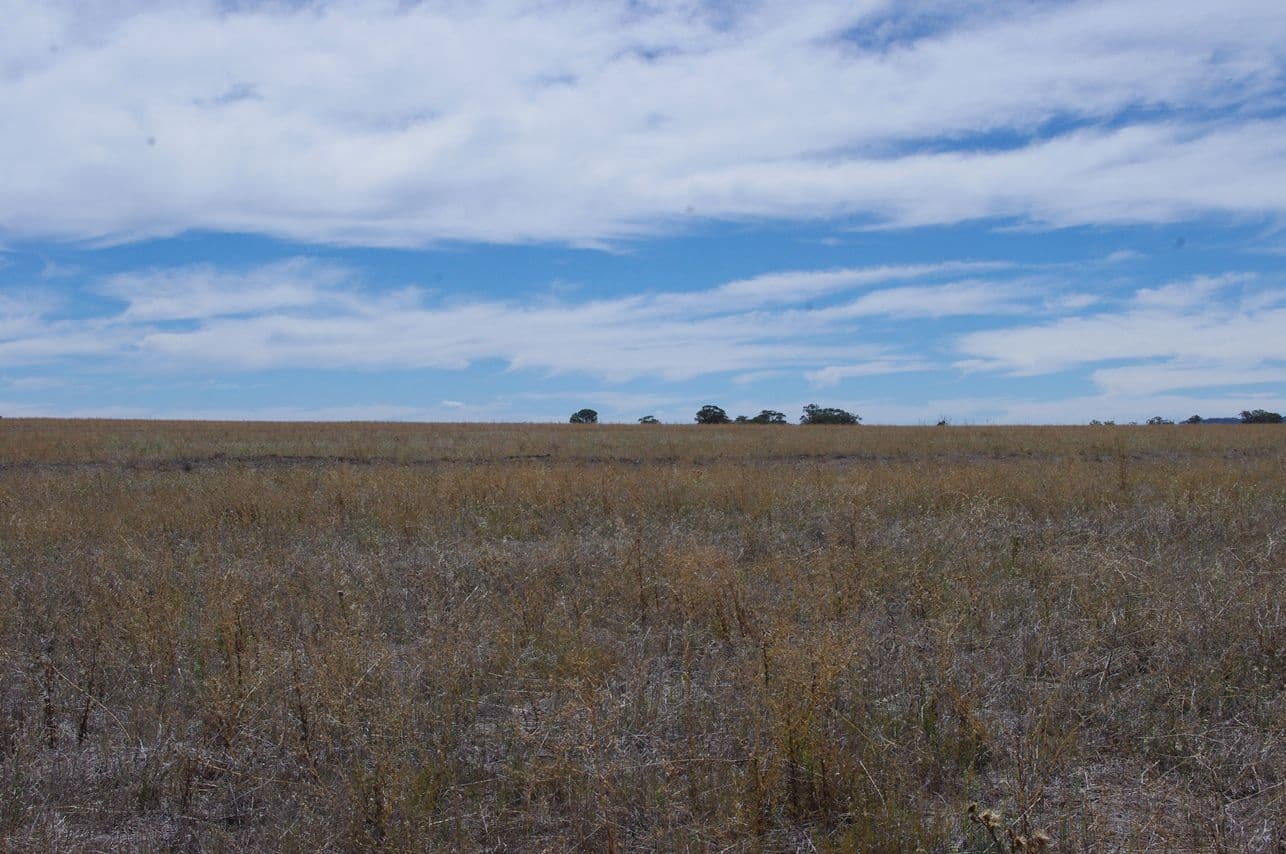 Lot 123 Bypass Road, INVERELL NSW 2360, Inverell - Thumbnail 7