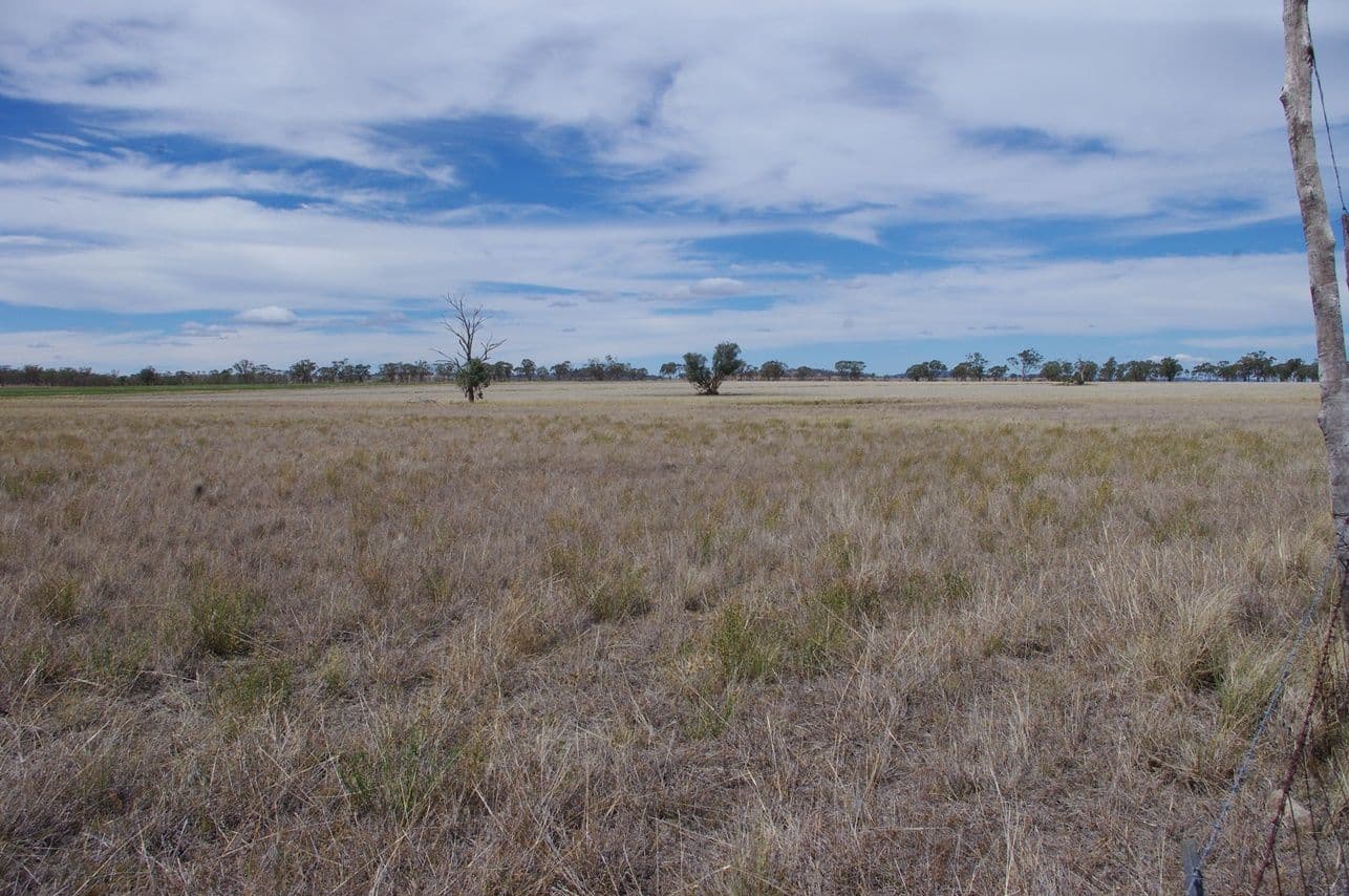Lot 21 Bypass Road, INVERELL NSW 2360, Inverell - Thumbnail 4