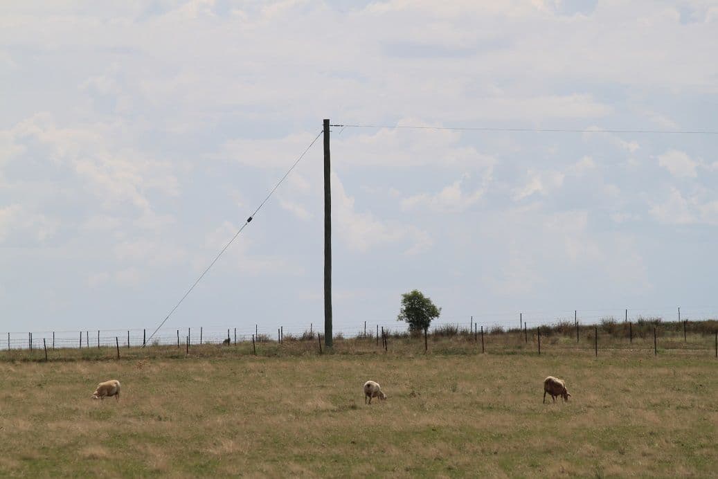 Lot 4 Sunset Ridge, FORBES NSW 2871, Forbes - Thumbnail 8