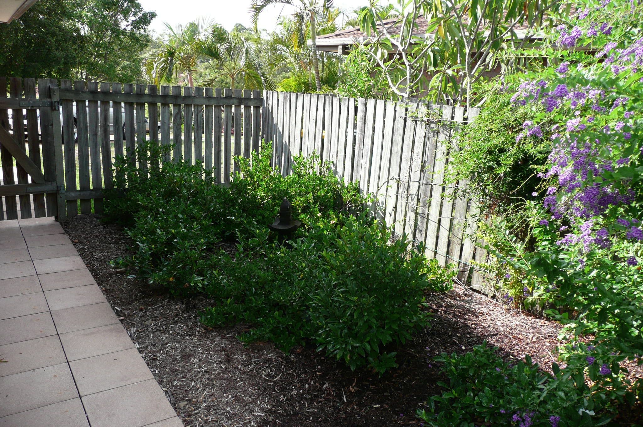 8 Blyde Street, SINNAMON PARK QLD 4073, Sinnamon Park - Thumbnail 7