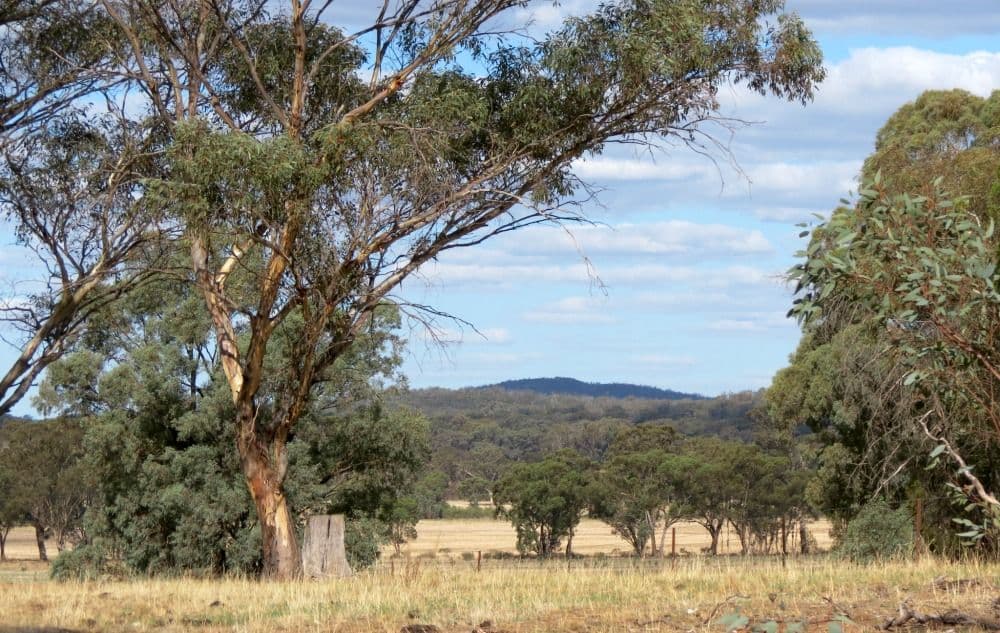 60 Springdam Road, TEMORA NSW 2666, Temora - Thumbnail 7