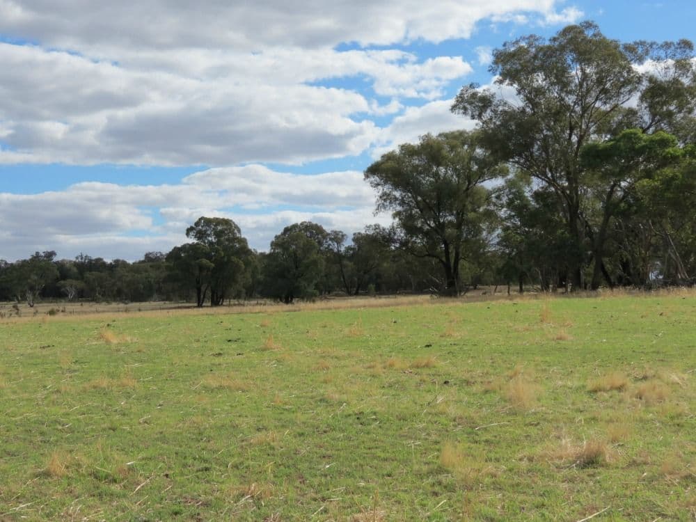 60 Springdam Road, TEMORA NSW 2666, Temora - Thumbnail 6