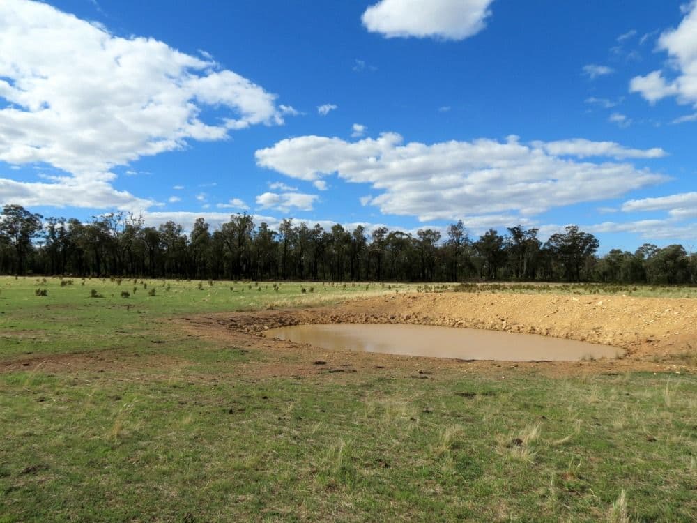 60 Springdam Road, TEMORA NSW 2666, Temora - Thumbnail 4