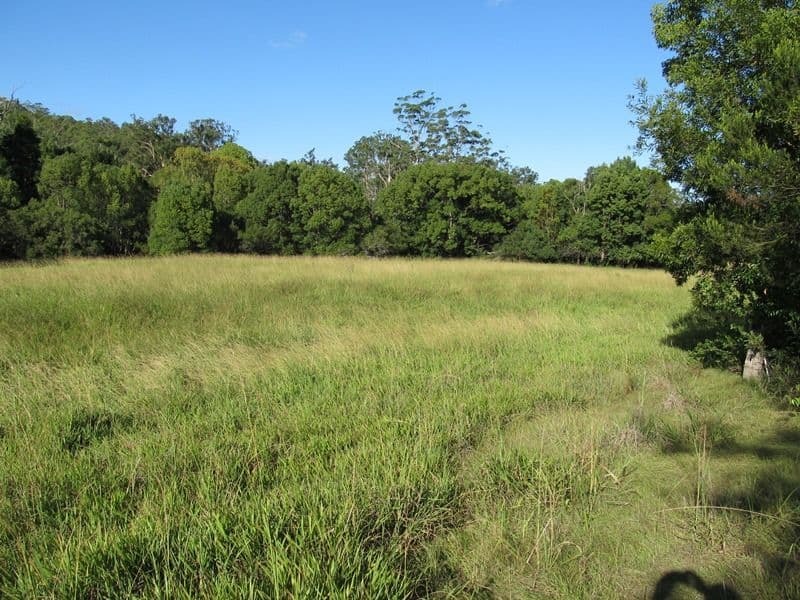 Lot 104 Kyogle Road, KUNGHUR NSW 2484, Kunghur - Image 1