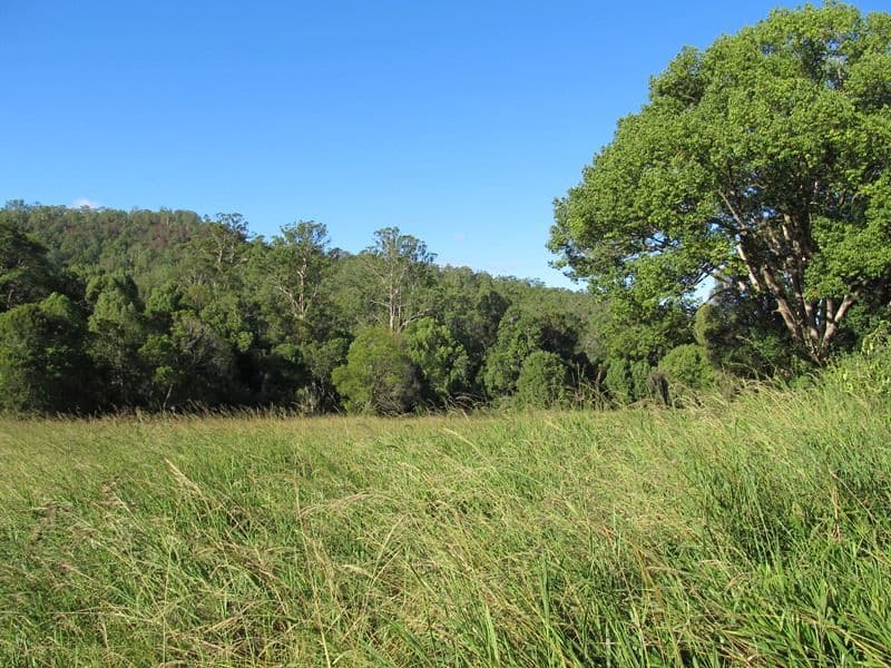 Lot 104 Kyogle Road, KUNGHUR NSW 2484, Kunghur - Thumbnail 8