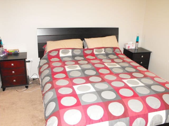 90 Wongalea Road, GUNNINGBLAND NSW 2876, Gunningbland - Thumbnail 6