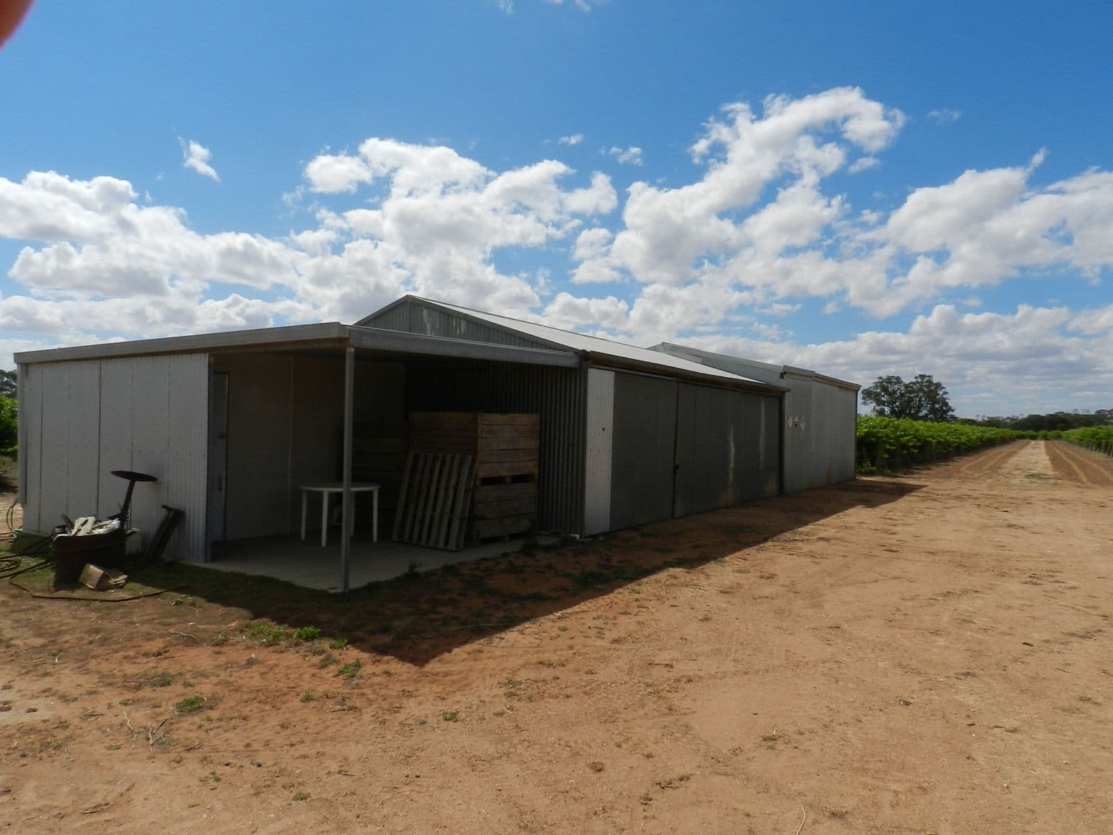 57 and 58 Schell Road, Cobdogla SA 5346, Cobdogla - Thumbnail 2