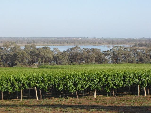 Sec 383 Thiele Road, LOVEDAY SA 5345, Loveday - Image 1