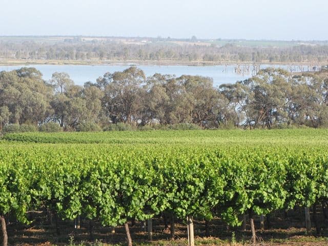 Sec 383 Thiele Road, LOVEDAY SA 5345, Loveday - Thumbnail 4