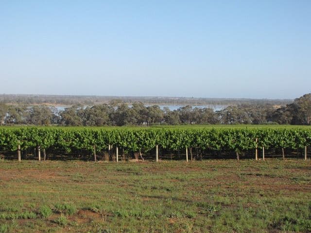 Sec 383 Thiele Road, LOVEDAY SA 5345, Loveday - Thumbnail 6