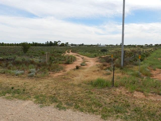 300 Caddy Road, BARMERA SA 5345, Barmera - Thumbnail 4