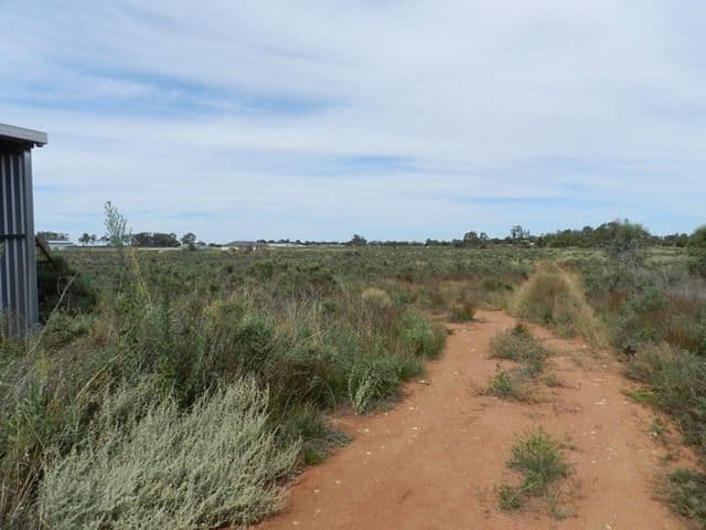 300 Caddy Road, BARMERA SA 5345, Barmera - Thumbnail 5