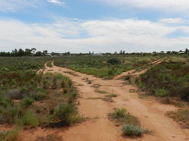 300 Caddy Road, BARMERA SA 5345, Barmera - Image 1