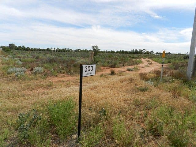 300 Caddy Road, BARMERA SA 5345, Barmera - Thumbnail 6