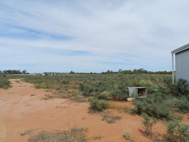 300 Caddy Road, BARMERA SA 5345, Barmera - Thumbnail 7