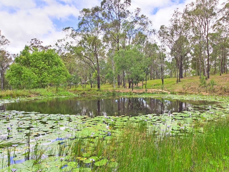 86 Fern Hill Drive, WILLOW VALE QLD 4209, Willow Vale - Thumbnail 5