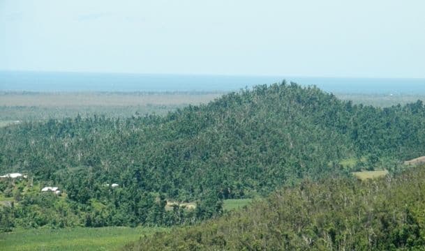 Lot 22 Bruce Highway, COWLEY QLD 4871, Cowley - Thumbnail 2