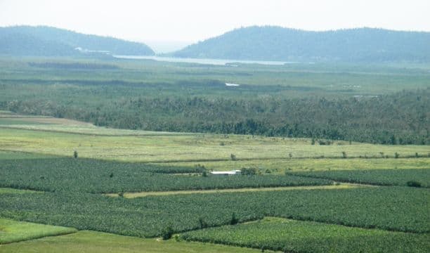 Lot 22 Bruce Highway, COWLEY QLD 4871, Cowley - Thumbnail 4
