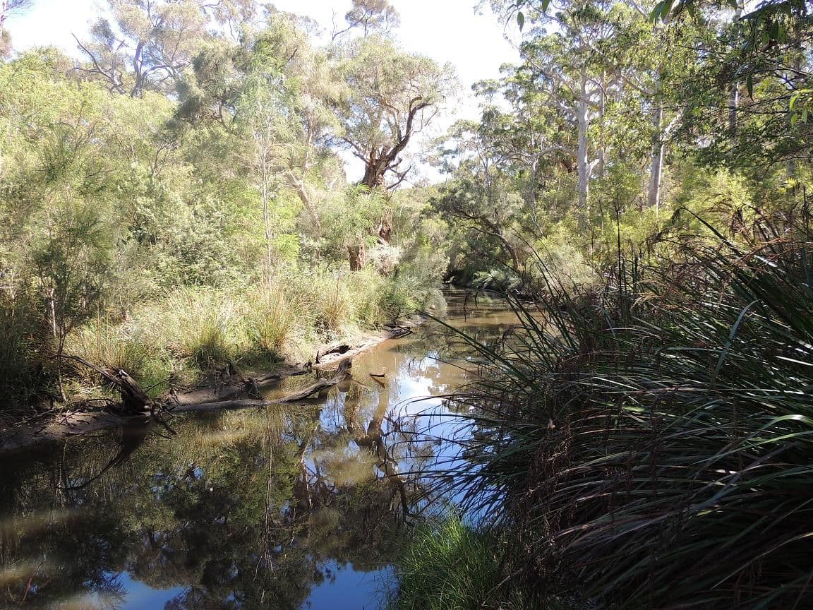 2 Maraveen Place, DENMARK WA 6333, Denmark - Thumbnail 4