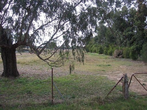 10a Wanani Road, MULWALA NSW 2647, Mulwala - Thumbnail 2