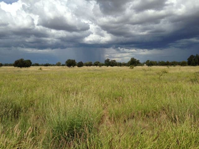 396 Ravensbourne Road, BLACKALL QLD 4472, Blackall - Thumbnail 2