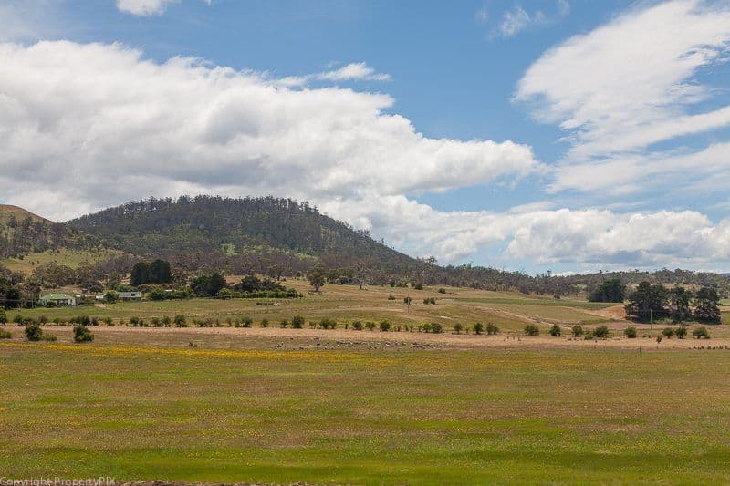 64 Middle Tea Tree Road, RICHMOND TAS 7025, Richmond - Thumbnail 4
