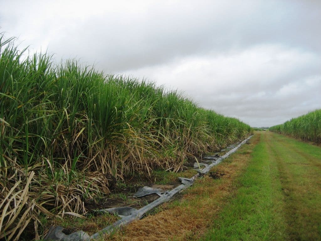 JARVISFIELD QLD 4807, Jarvisfield - Thumbnail 4