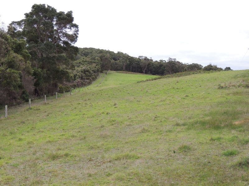 626 Valley Of The Giants Road, TINGLEDALE WA 6333, Tingledale - Thumbnail 3