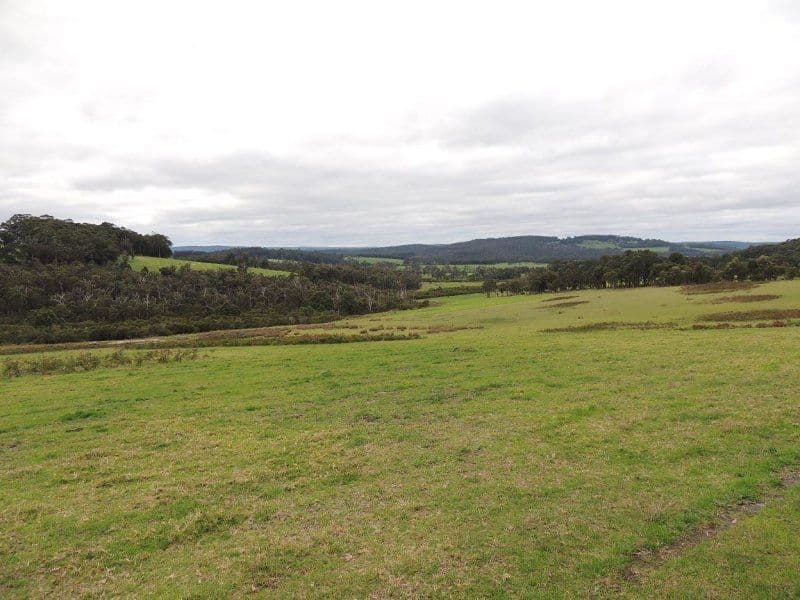 626 Valley Of The Giants Road, TINGLEDALE WA 6333, Tingledale - Thumbnail 2