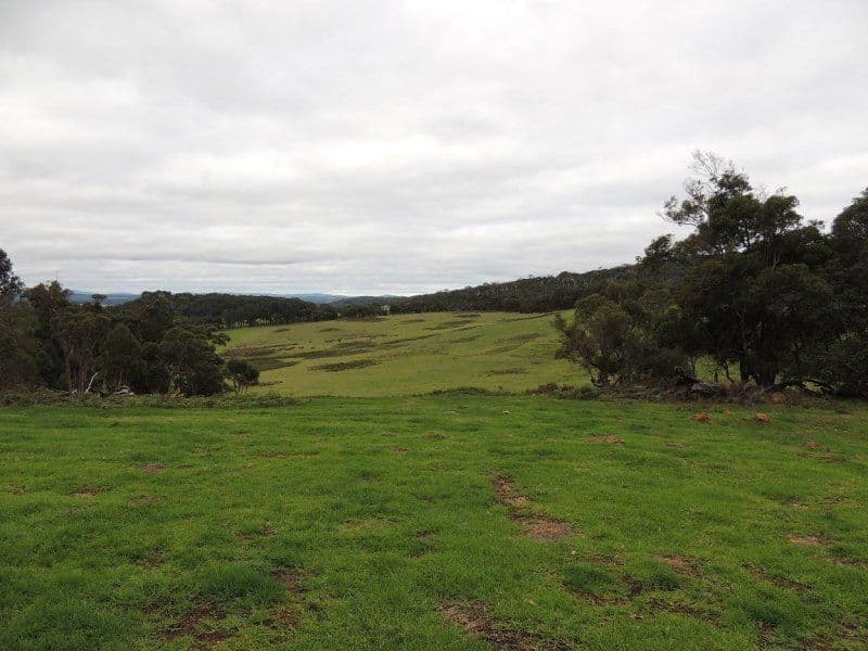 626 Valley Of The Giants Road, TINGLEDALE WA 6333, Tingledale - Thumbnail 4