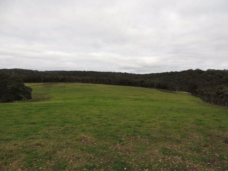 626 Valley Of The Giants Road, TINGLEDALE WA 6333, Tingledale - Thumbnail 5