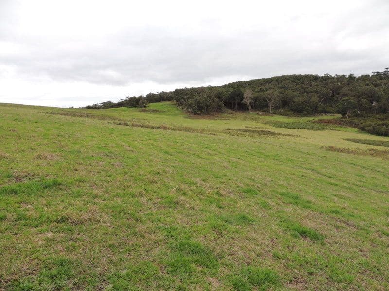 626 Valley Of The Giants Road, TINGLEDALE WA 6333, Tingledale - Image 1