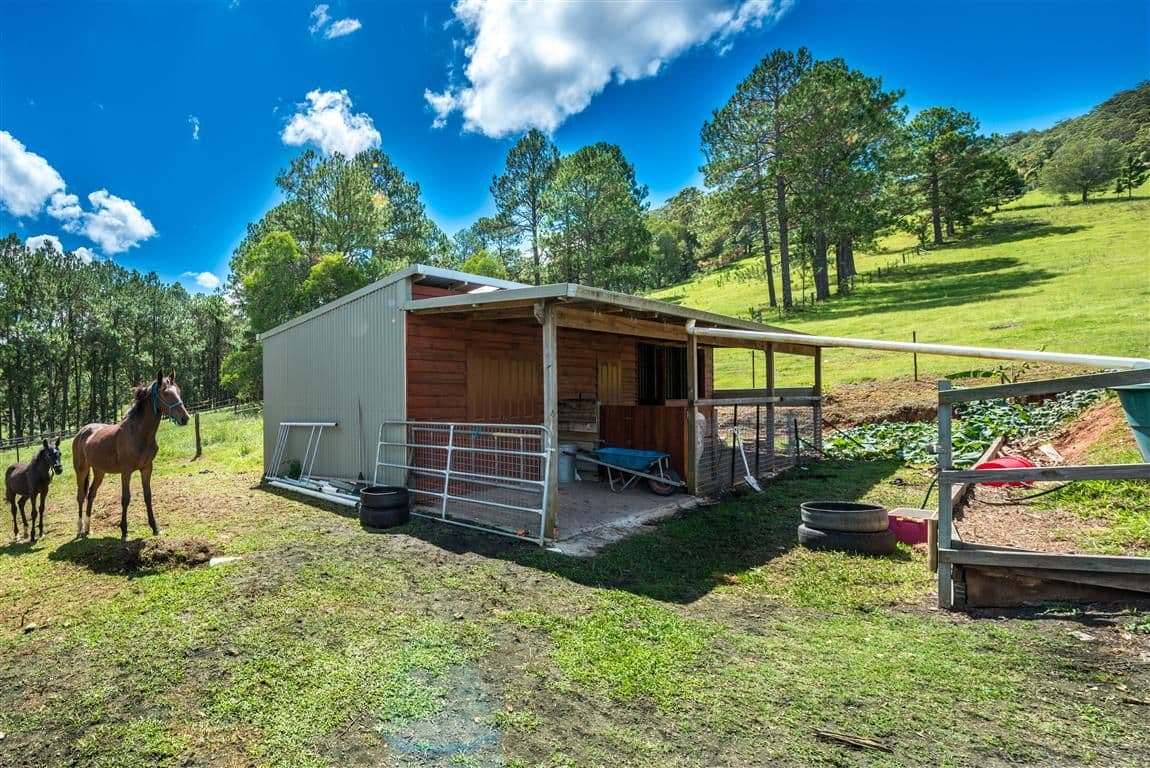 54 Lanes Road, WONGAWALLAN QLD 4210, Wongawallan - Thumbnail 3