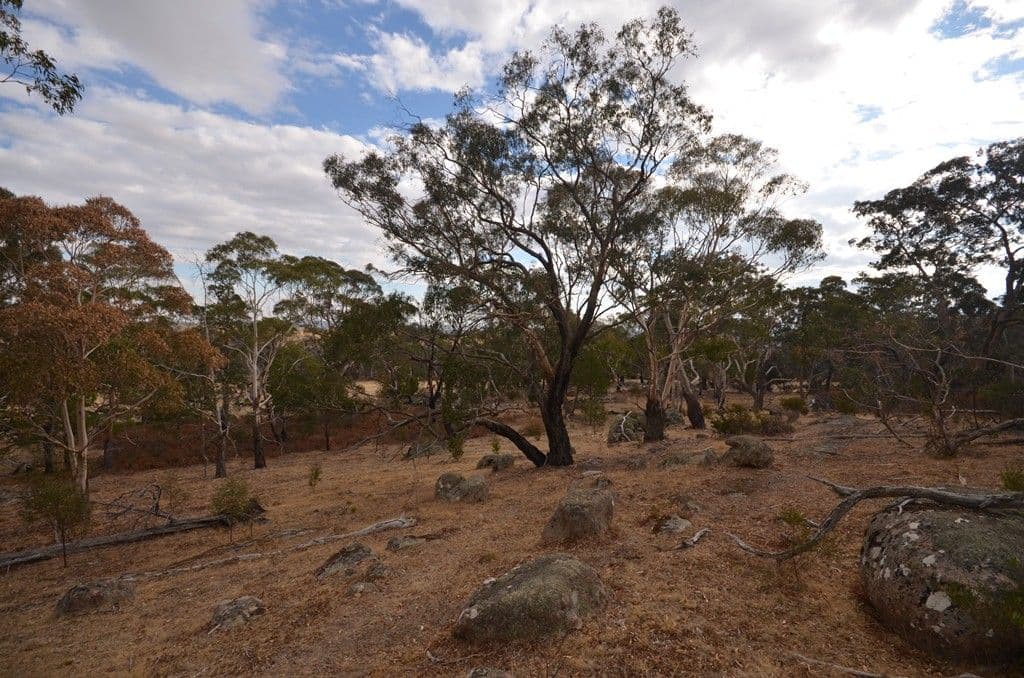 Lot 1 Granite Sandpit Road, BUANGOR  Victoria  3375, Australia, Buangor - Thumbnail 4
