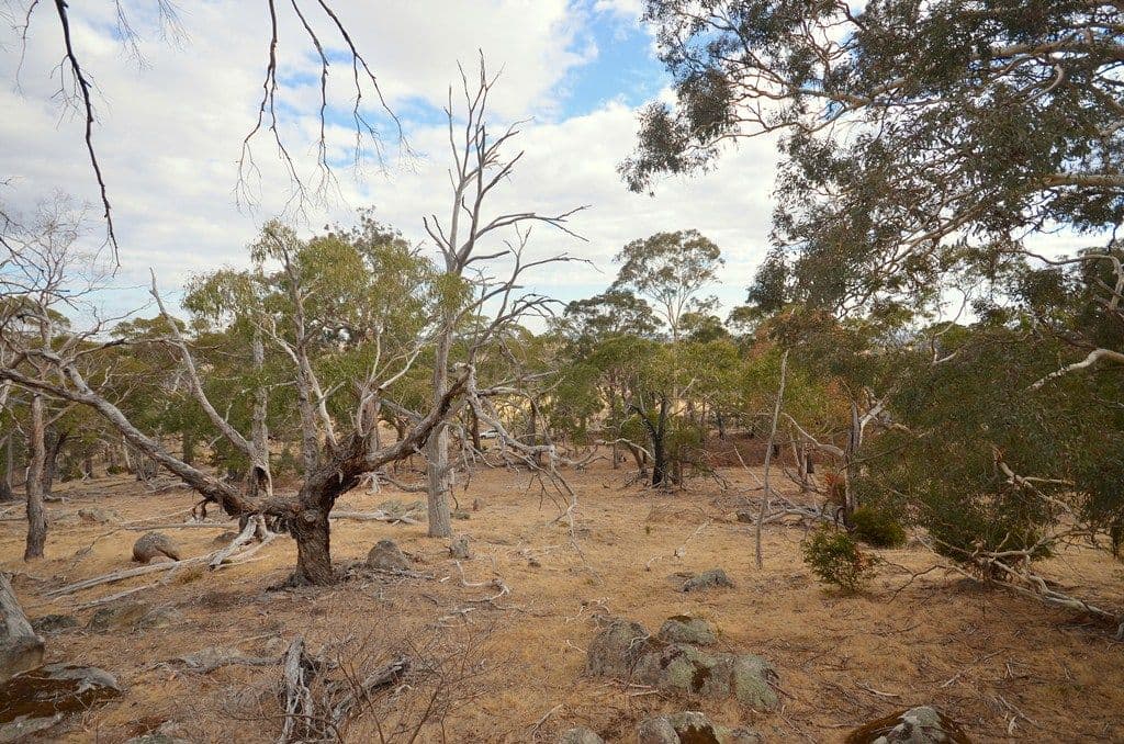 Lot 1 Granite Sandpit Road, BUANGOR  Victoria  3375, Australia, Buangor - Thumbnail 5
