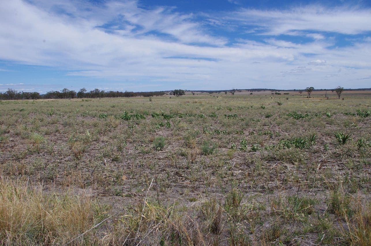 LOT 121 Abbotts Lane, INVERELL NSW 2360, Inverell - Thumbnail 4